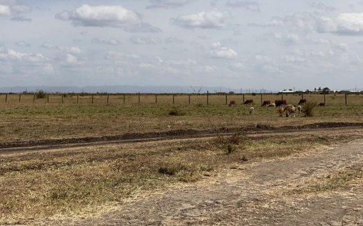 PLOT FOR SALE – JUJA FARM